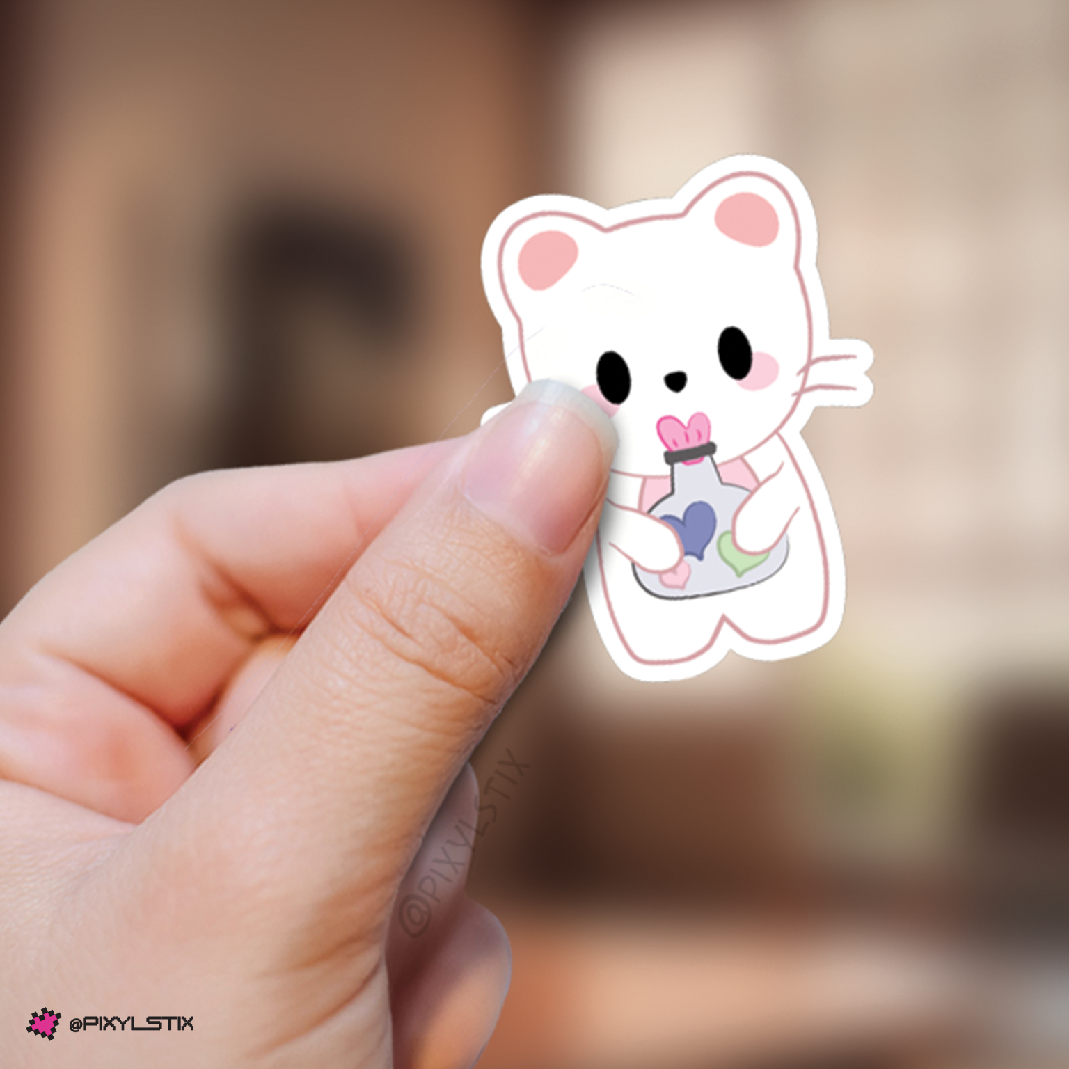 Stray Kids Skzoo 5'Clock Fan Meeting Stickers