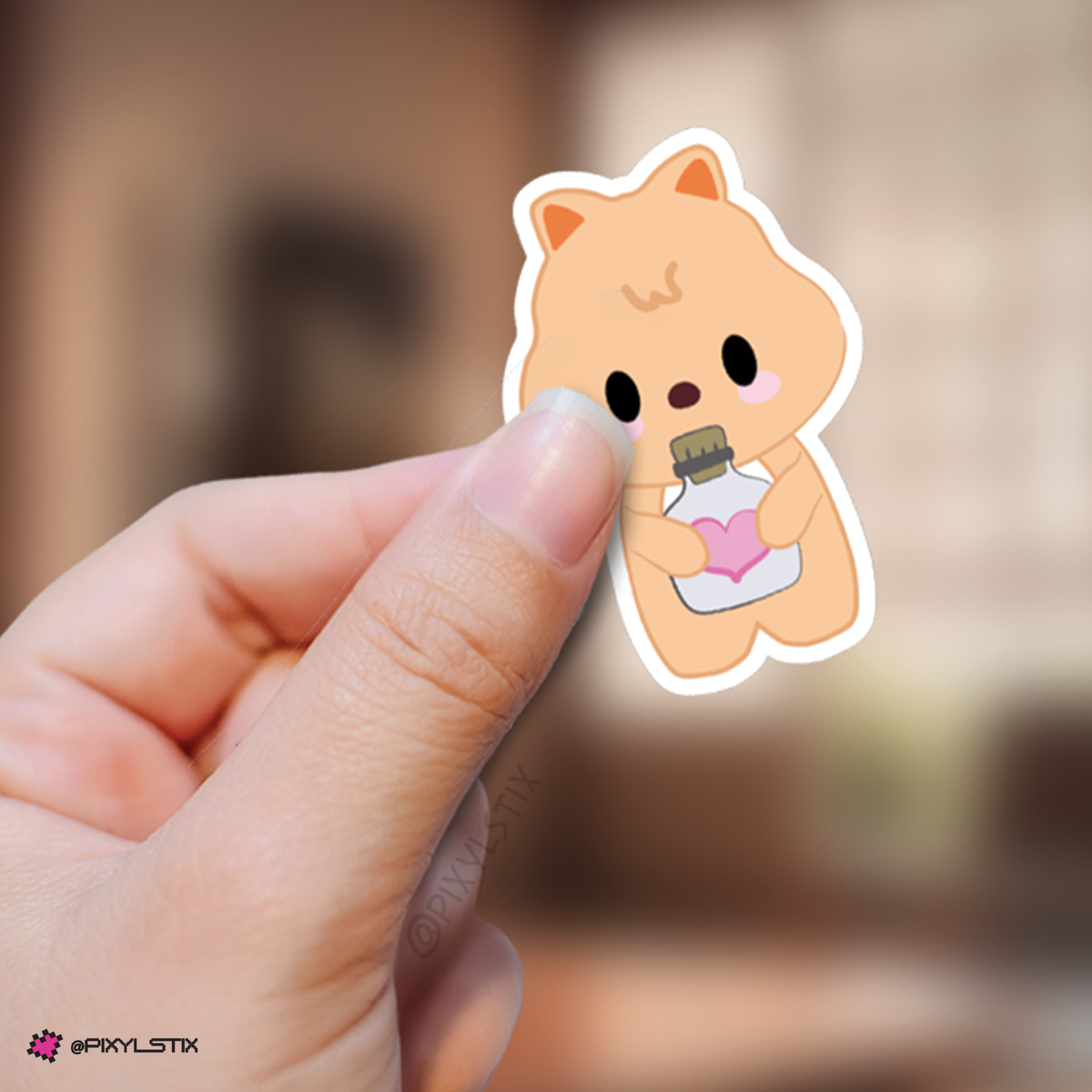 Stray Kids Skzoo 5'Clock Fan Meeting Stickers