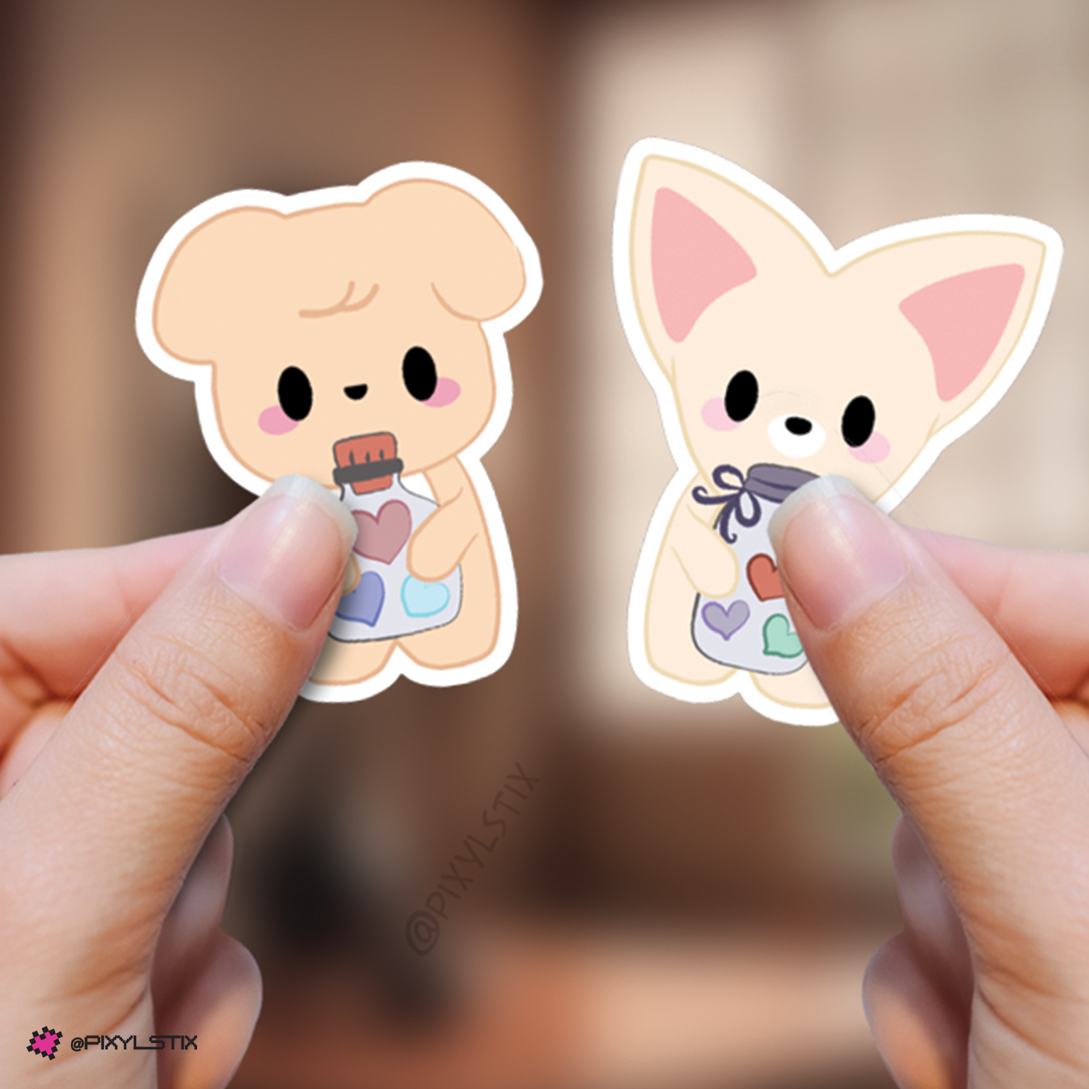 Stray Kids Skzoo 5'Clock Fan Meeting Stickers